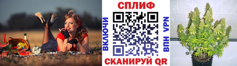 Магазины продажи наркотиков Плёс мега ссылка  Меф  ГАШ  МАРИХУАНА 