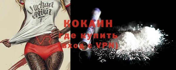 индика Беломорск