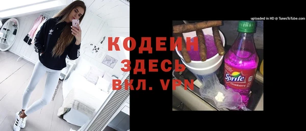 индика Беломорск