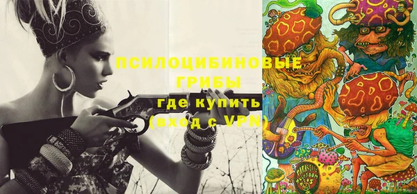 скорость Белокуриха