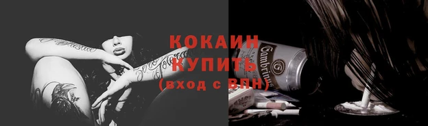 индика Беломорск
