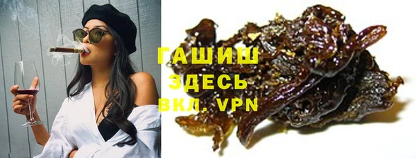 индика Беломорск