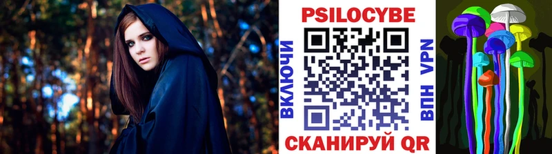 Галлюциногенные грибы Psilocybe  цена наркотик  Плёс 