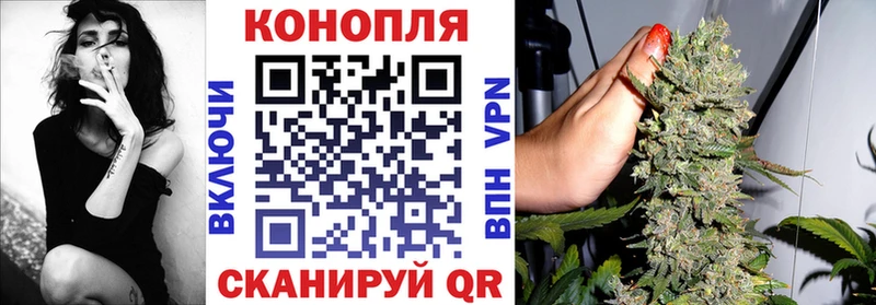 OMG ONION  Плёс  Шишки марихуана ГИДРОПОН  где продают  